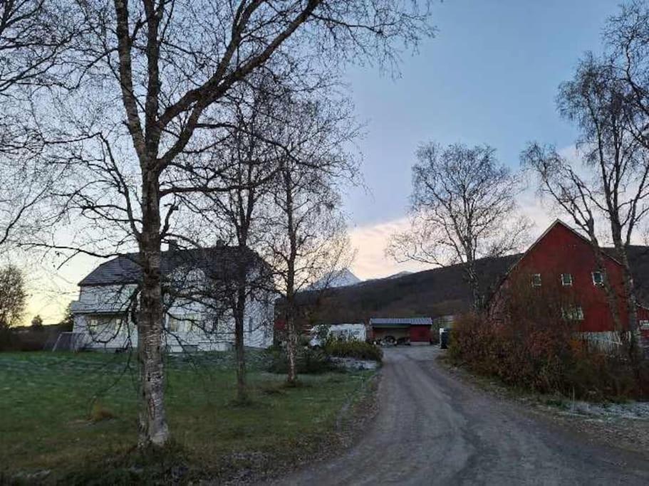 Farmroom With Sauna And Aurora Narvik Bagian luar foto