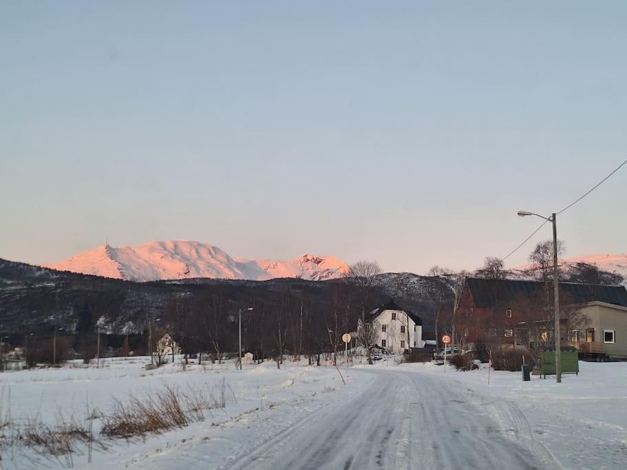 Farmroom With Sauna And Aurora Narvik Bagian luar foto