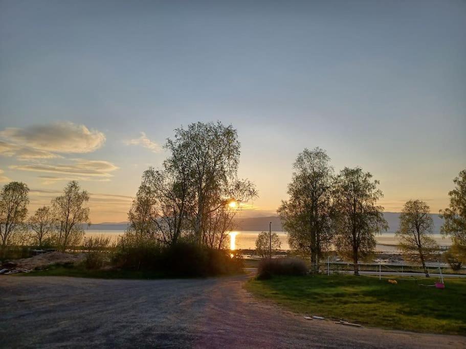 Farmroom With Sauna And Aurora Narvik Bagian luar foto