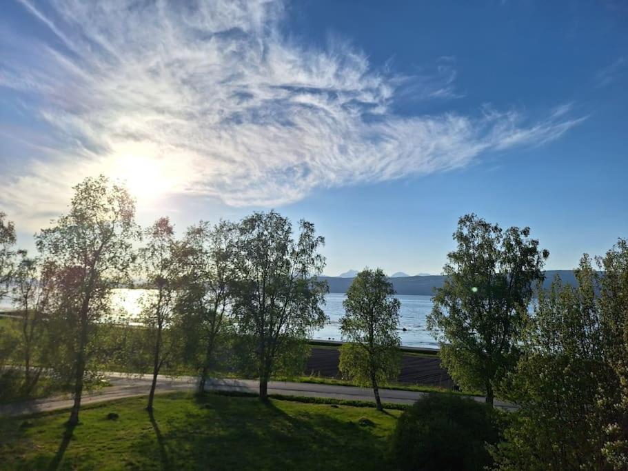 Farmroom With Sauna And Aurora Narvik Bagian luar foto