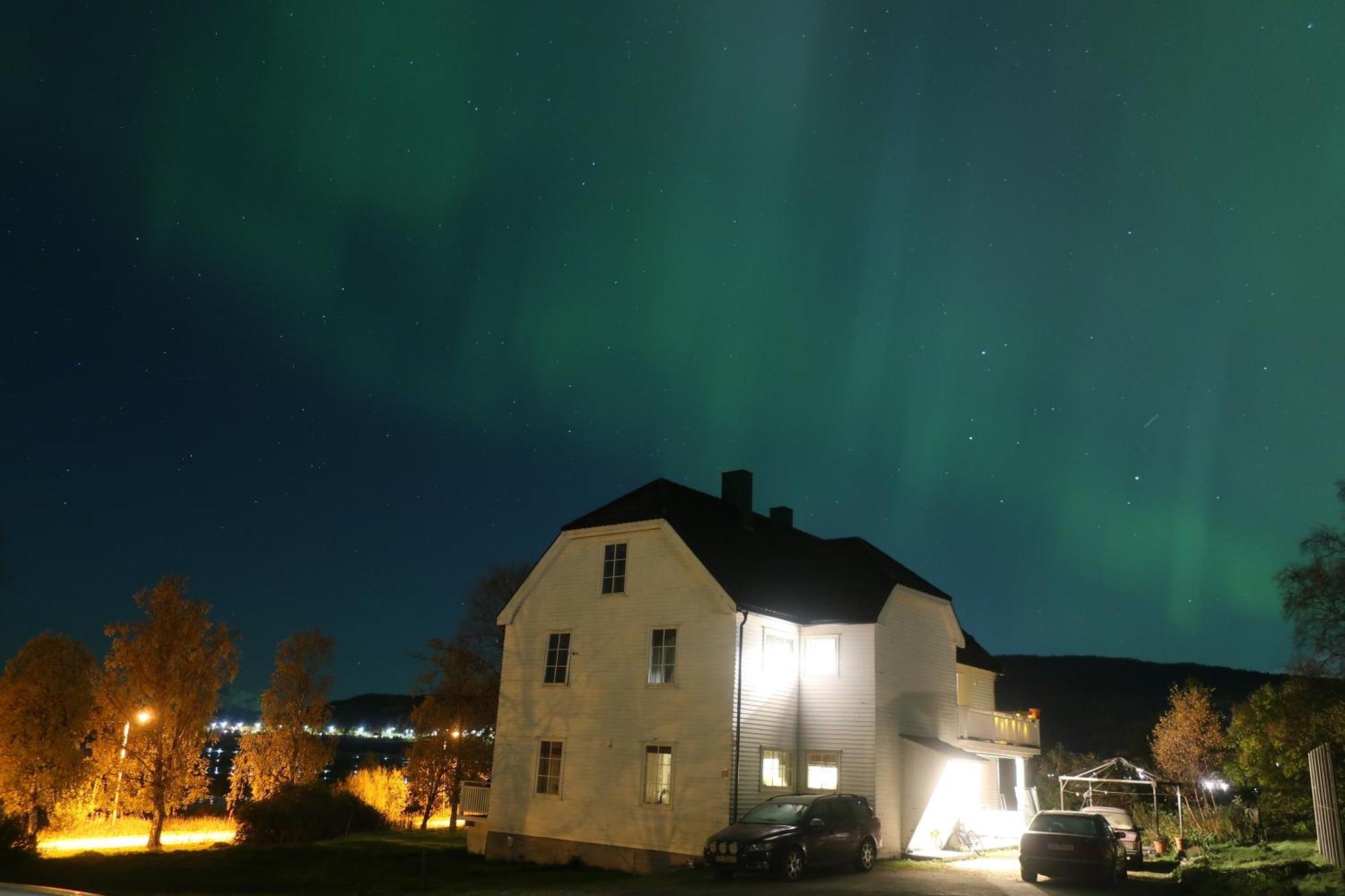 Farmroom With Sauna And Aurora Narvik Bagian luar foto